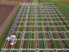 Système de montage au sol solaire de structure en acier au carbone de vente chaude pour la ferme