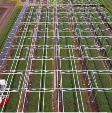 Acheter vs location de panneaux solaires: lequel fonctionne pour vous?