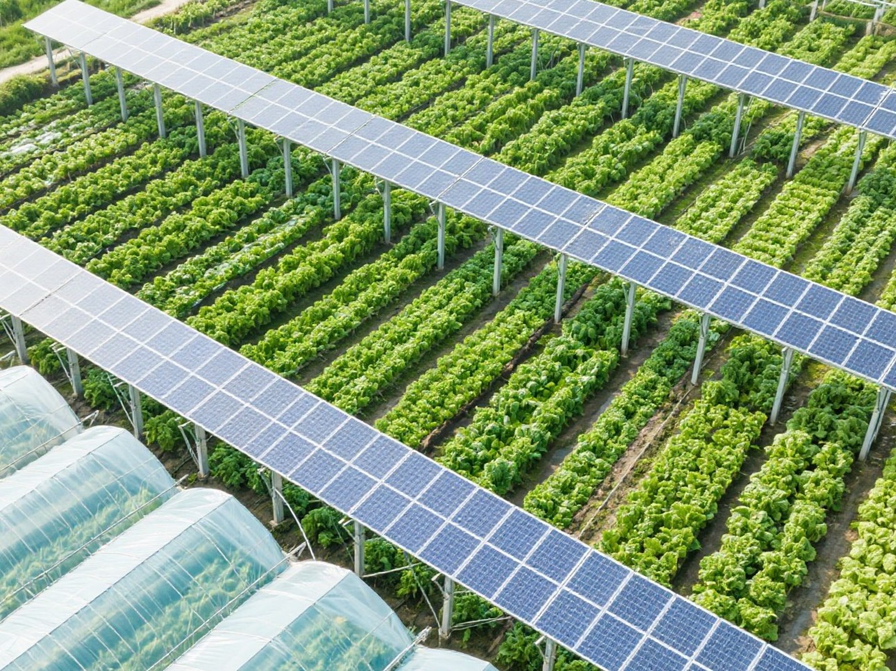 Quel type de système de soutien est généralement utilisé dans les fermes solaires?