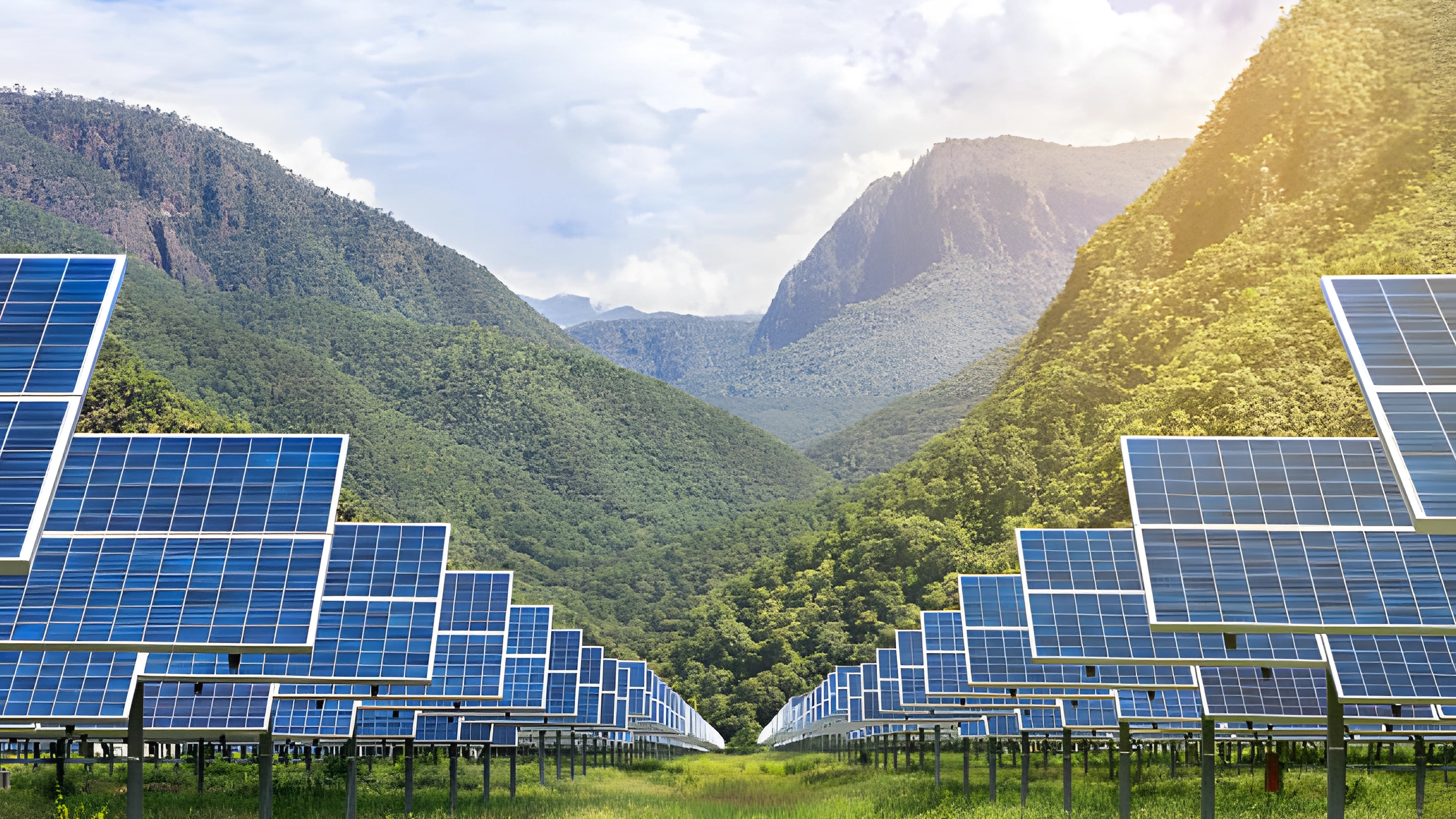 Les avantages des panneaux solaires montés au sol pour les projets à grande échelle