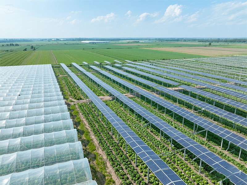 Qu'est-ce qu'une centrale solaire?